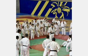 Journée du Judo 2025